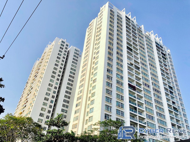 Hoàng Anh River View Building